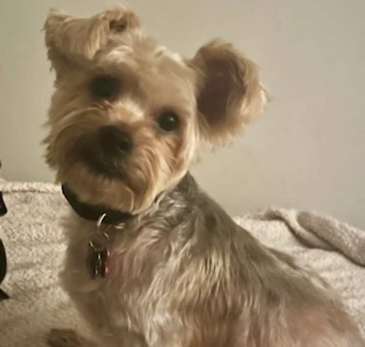 Photo of Oakley