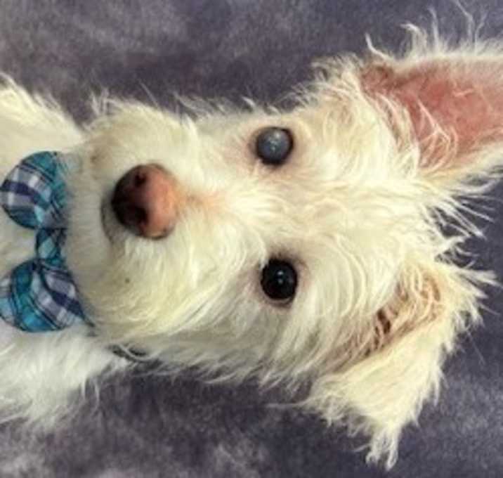 Photo of Andy