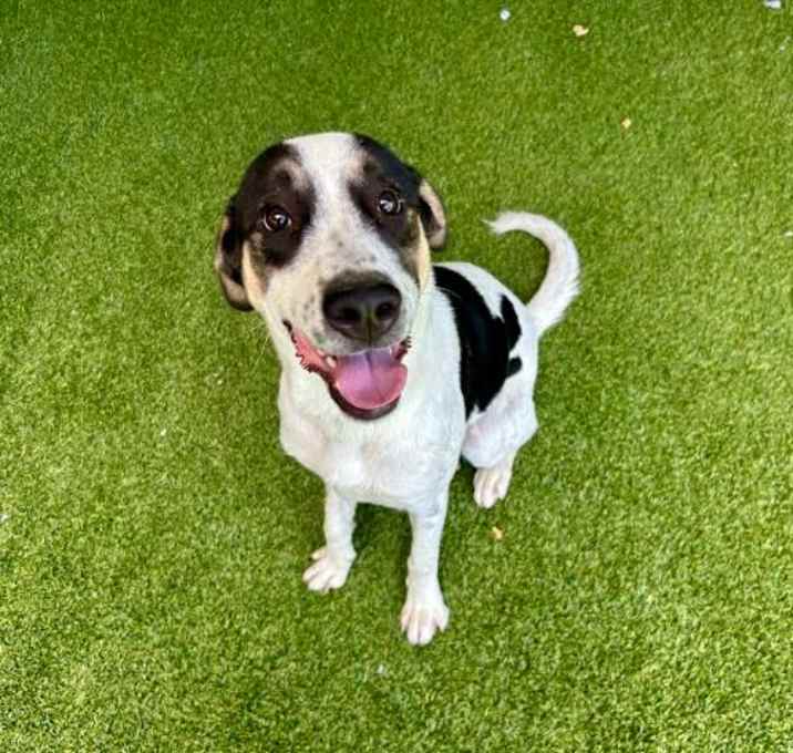 Photo of CHECKERS