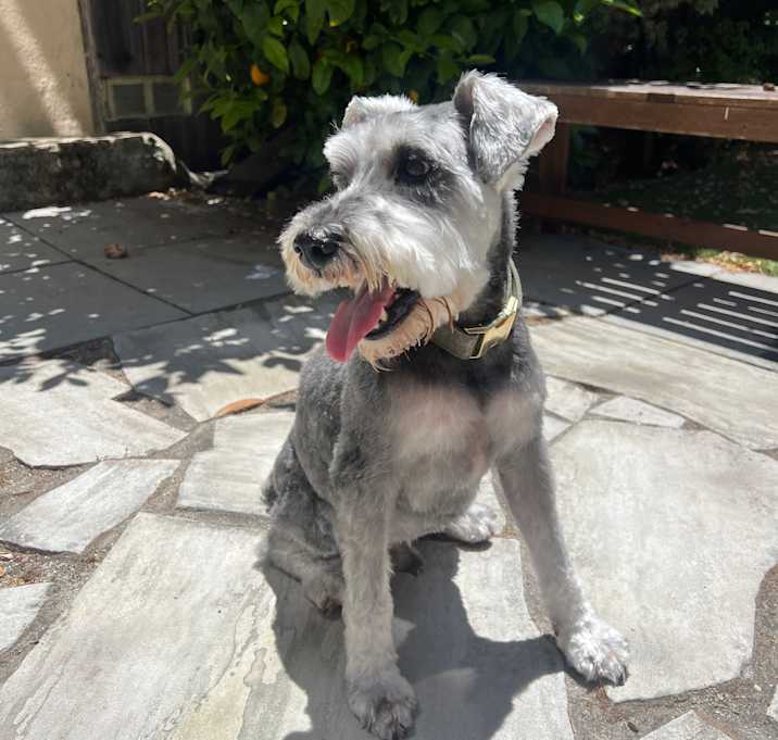 Photo of Marco