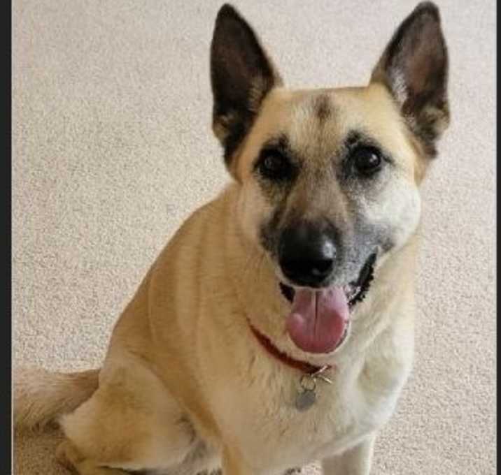 Photo of Lola