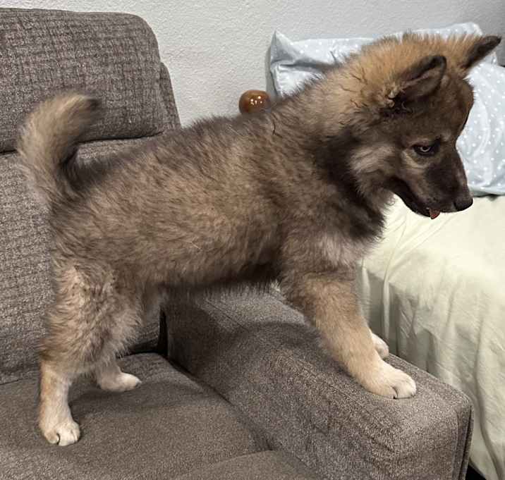 Photo of Kiona