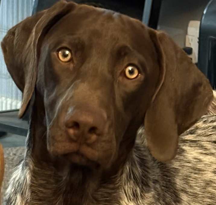 Photo of Cutter