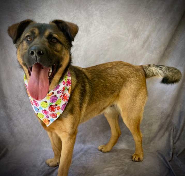 Photo of OLIVER