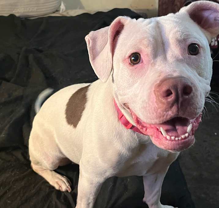 Photo of Sophie