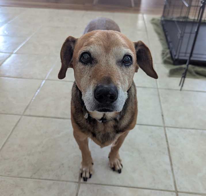 Photo of Coco