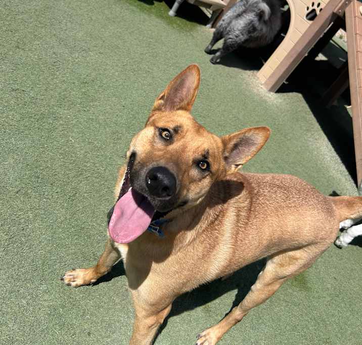 Photo of Max