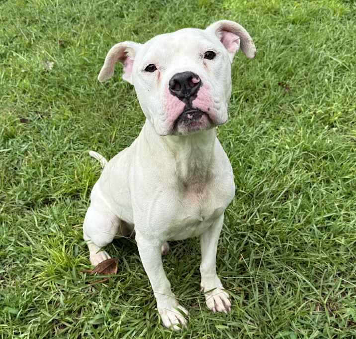 Photo of Maverick