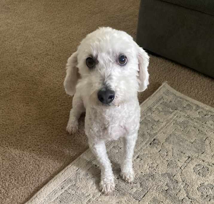 Photo of Corbin