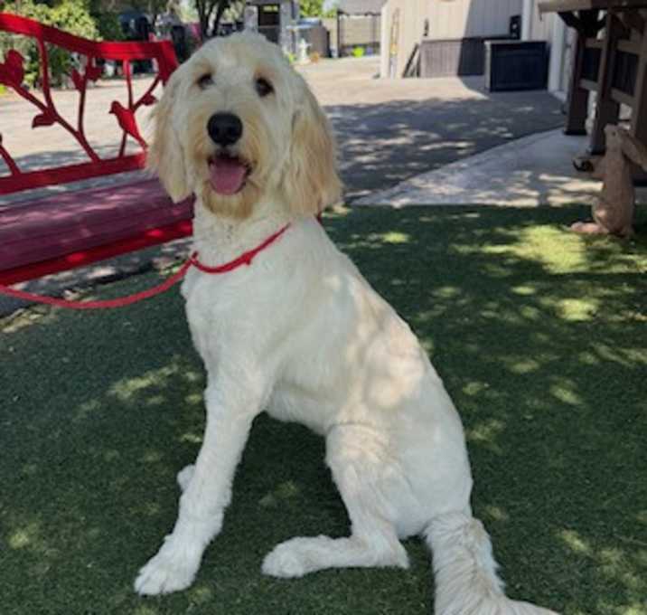 Photo of Sunny
