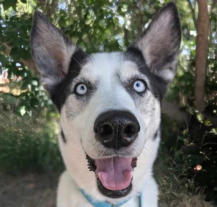 Photo of Zoe
