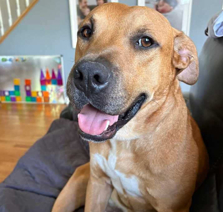 Photo of Hambone