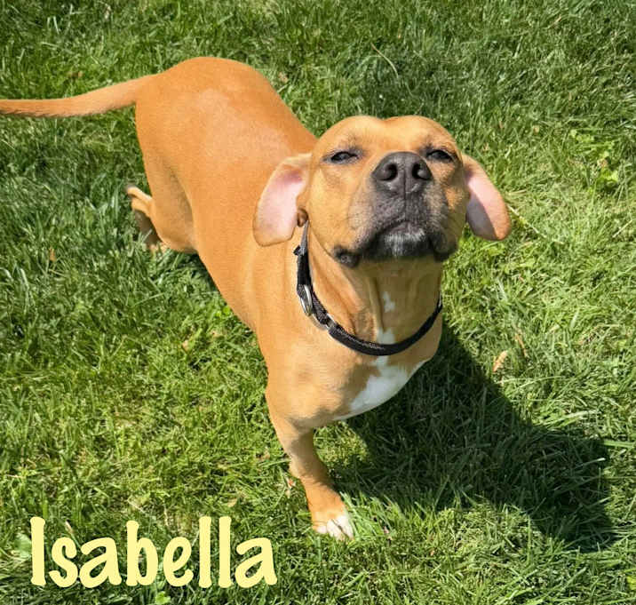 Photo of Isabella