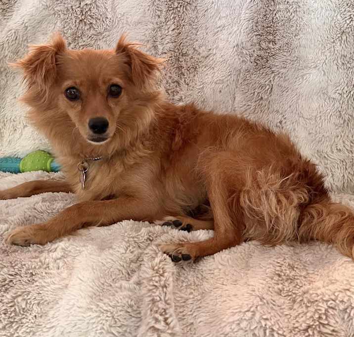 Photo of Brandi!