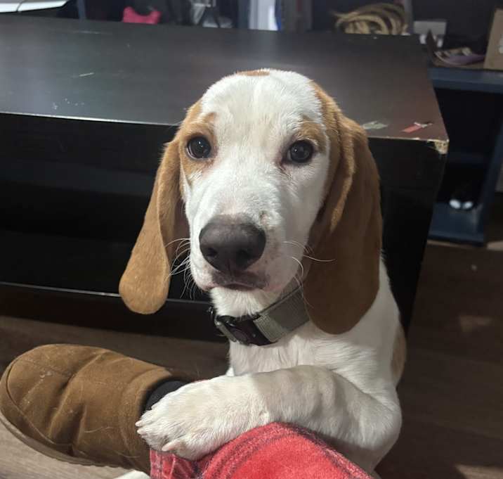 Photo of Chapo