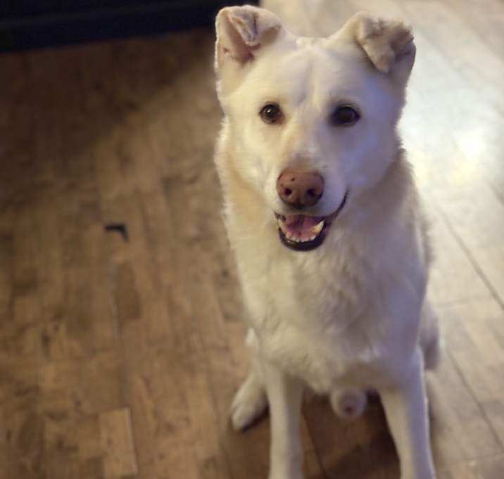 Photo of Max