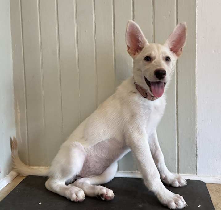 Photo of Monroe