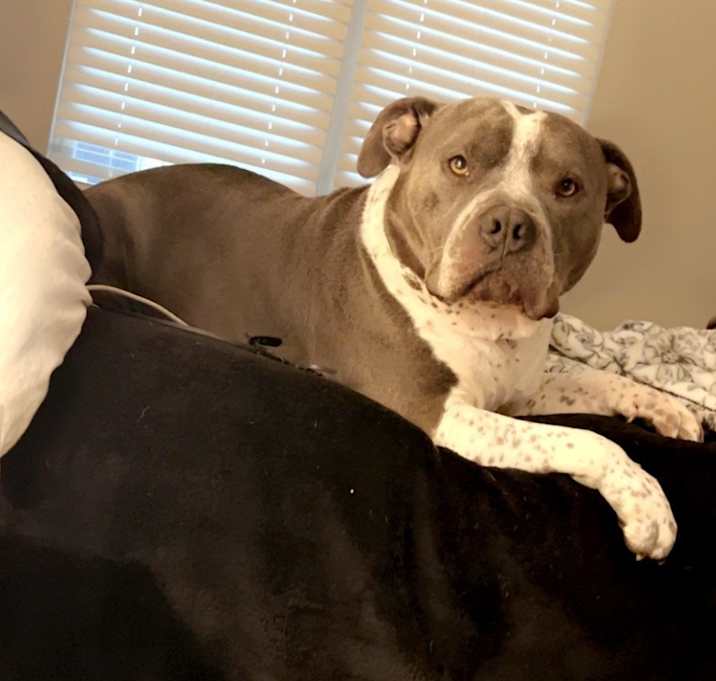 Photo of Drip
