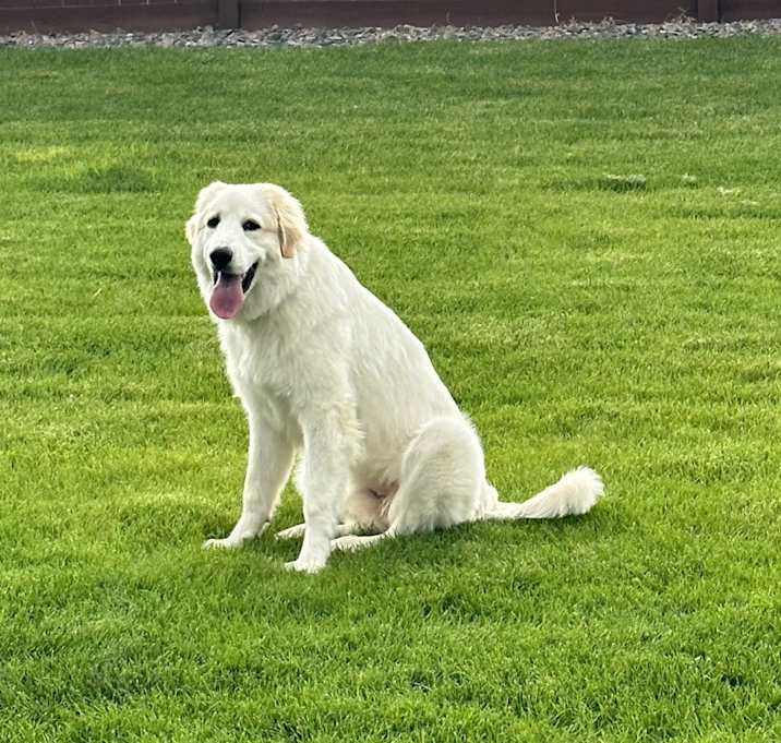 Photo of Lilly