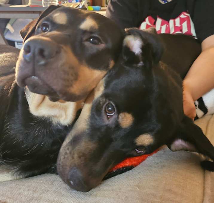 Photo of Luna
