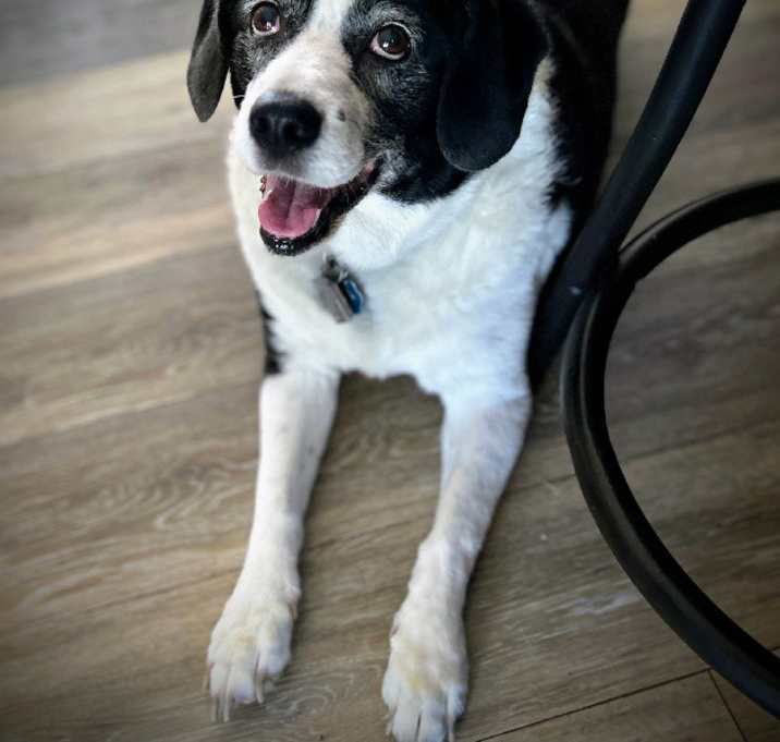 Photo of Pumpkin
