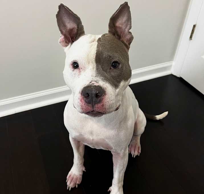 Photo of Bonnie