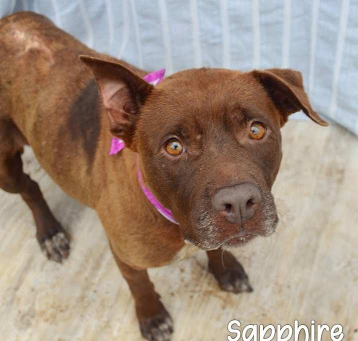 Photo of Sapphire
