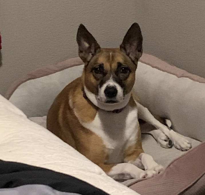 Photo of Skye