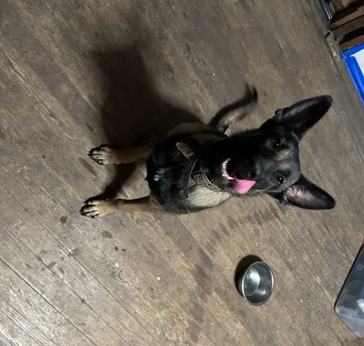 Photo of Tex