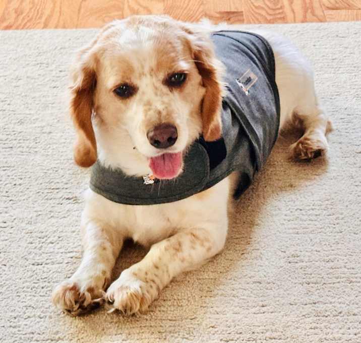 Photo of Otis