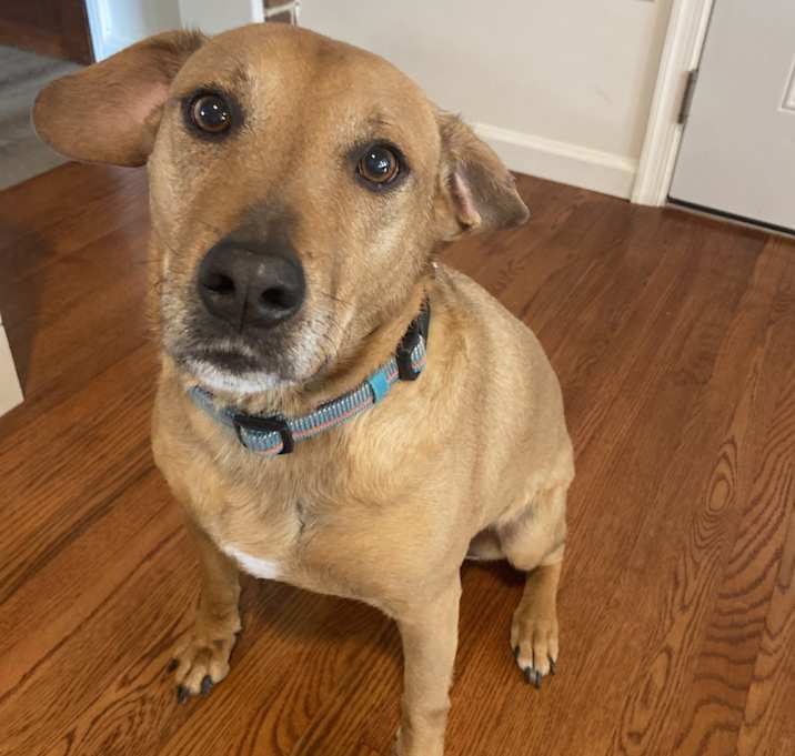 Photo of Remington