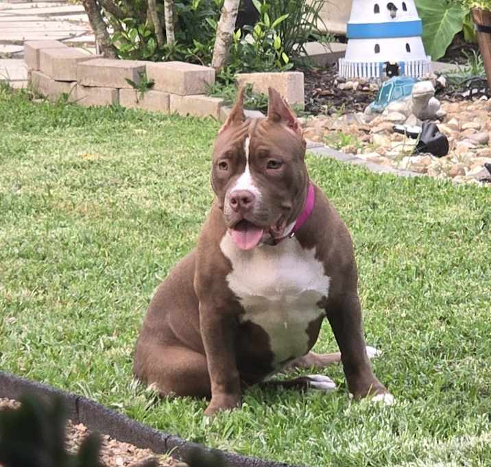 Photo of Coco