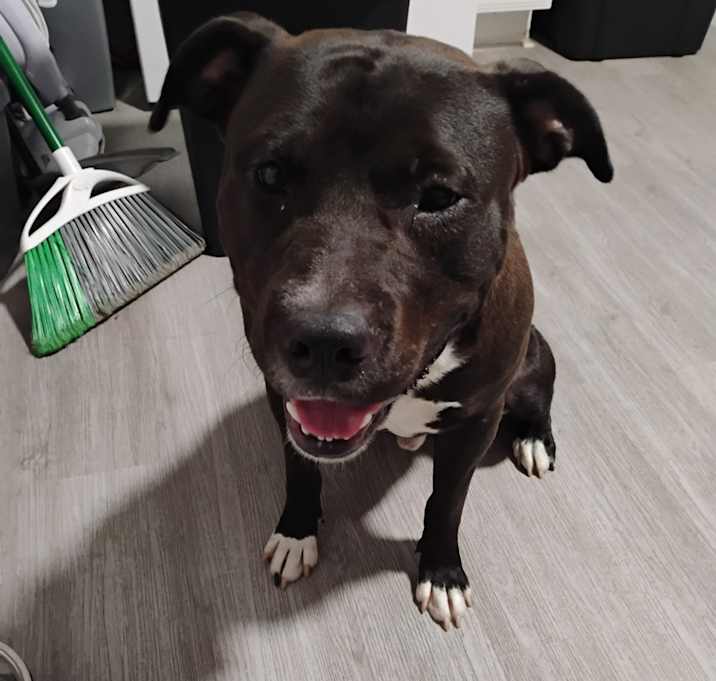 Photo of Tuxedo