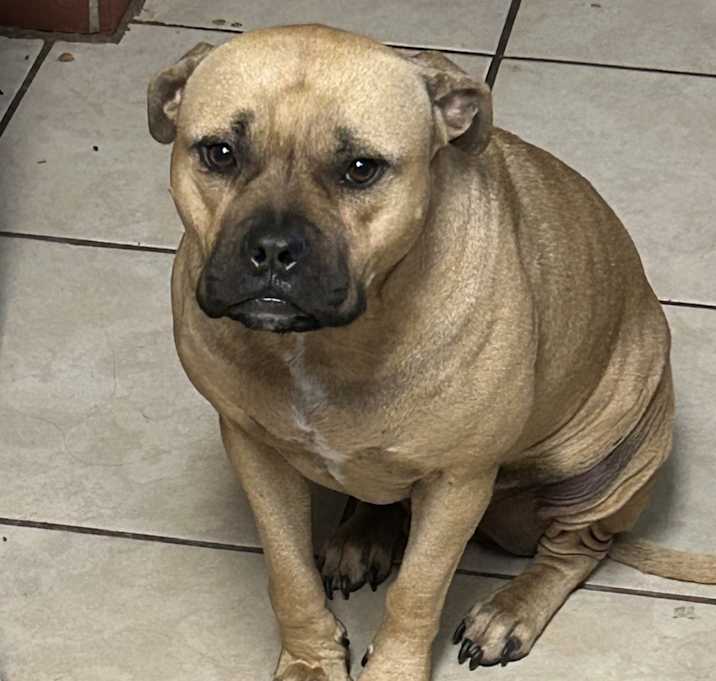 Photo of Foruz