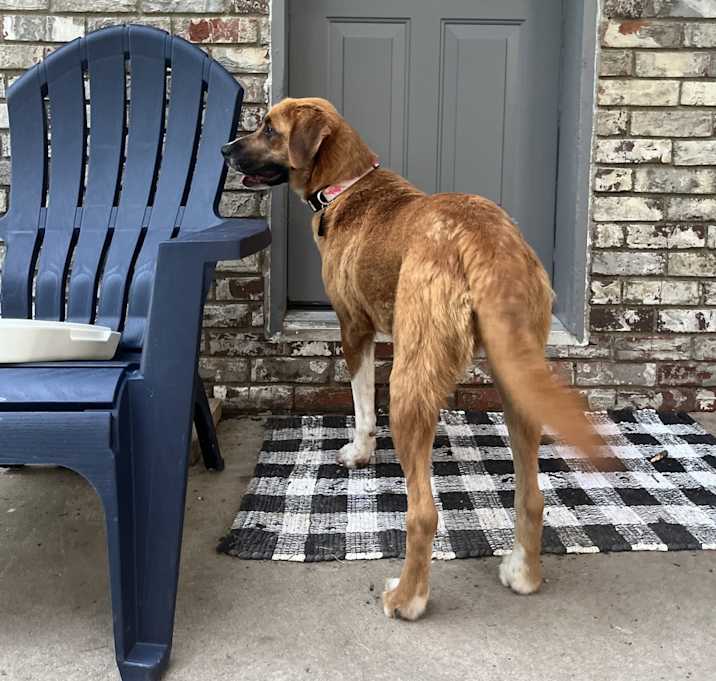 Photo of Peggy Sue
