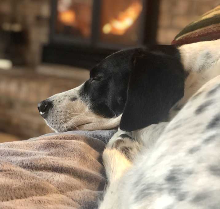 Photo of Scooter