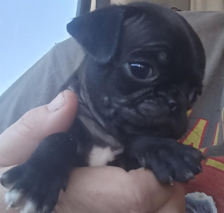 Photo of Hazel