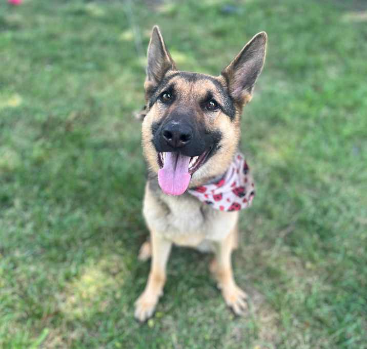 Photo of Zola
