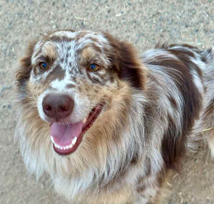 Photo of Winston