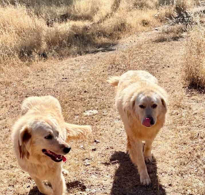 Photo of Blue & Pinky