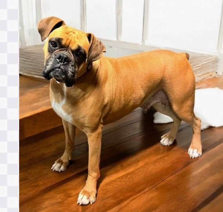 Photo of WINNIE