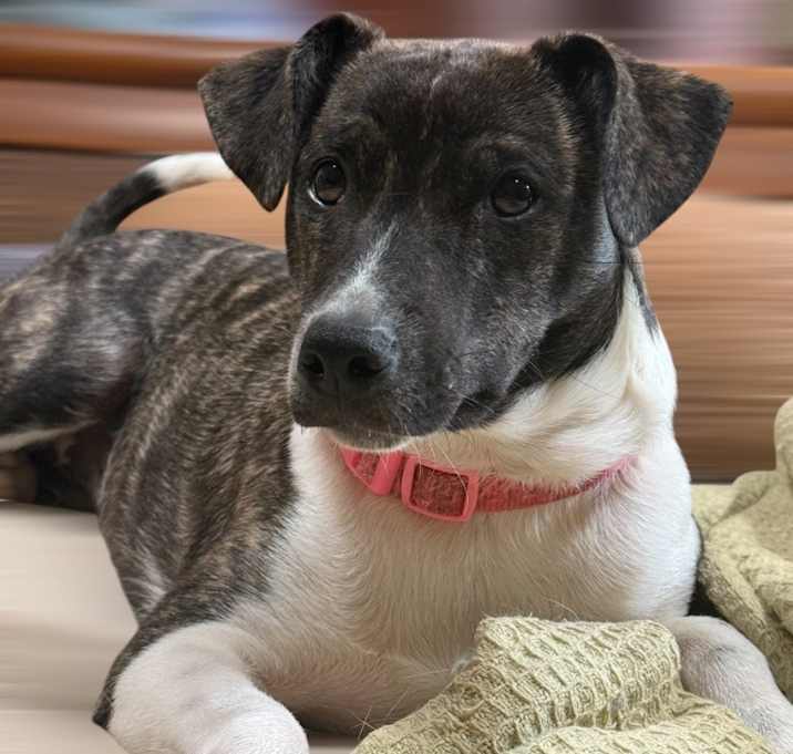 Photo of Jenny