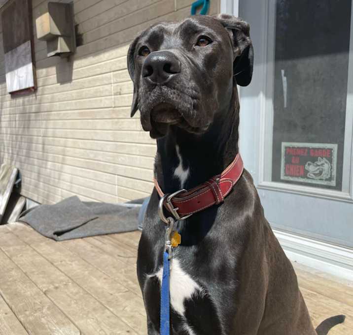 Photo of Lily