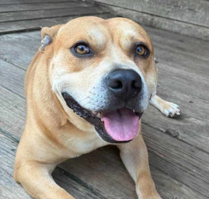Photo of Winston