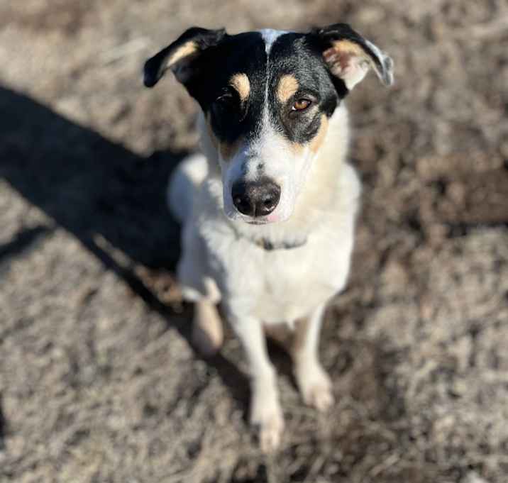 Photo of Jack
