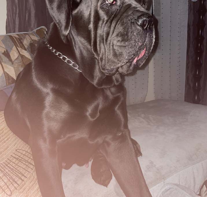 Photo of Nyla