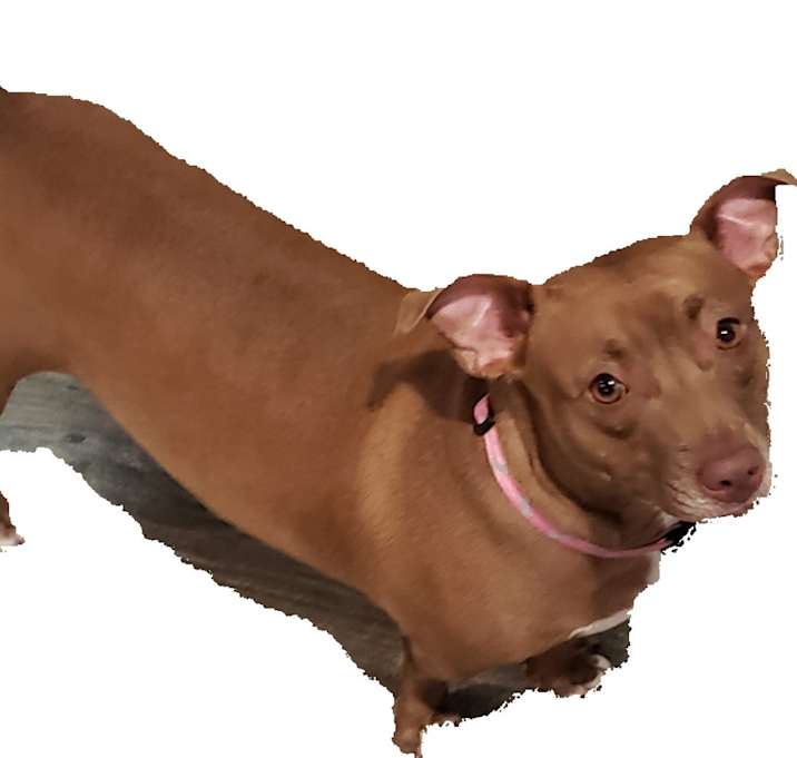 Photo of Rylie
