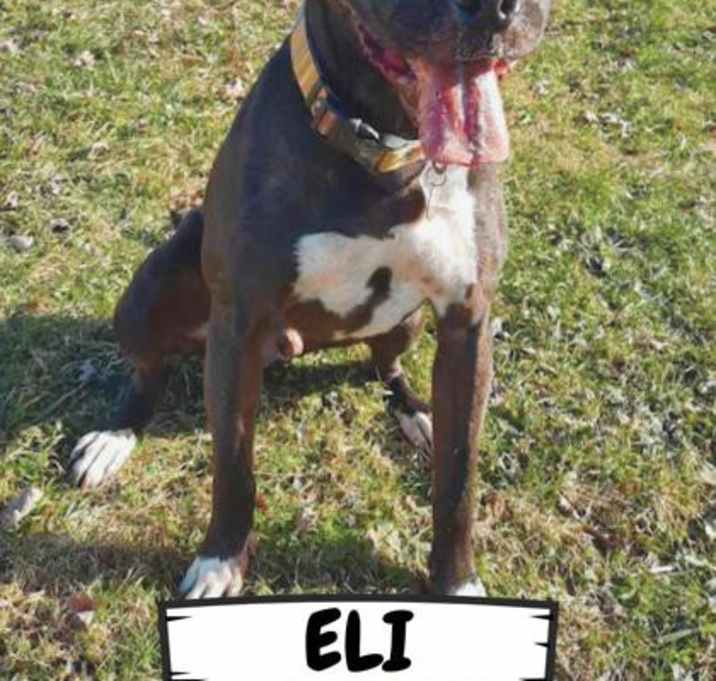Photo of Eli