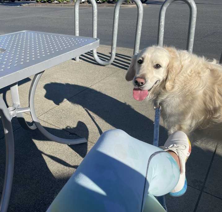 Photo of Gus