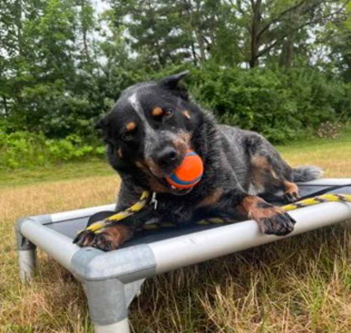 Photo of Gus